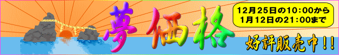 12月25日の10：00から1月12日の21：00まで『夢価格』 好評販売中!!