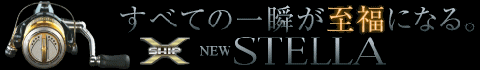 ¤¹¤Ù¤Æ¤Î°ì½Ö¤¬»êÊ¡¤Ë¤Ê¤ë¡£ X-SHIPÅëºÜ NEW STELLA