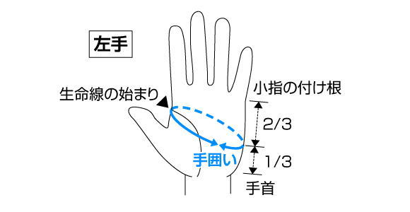 サイズの確認方法